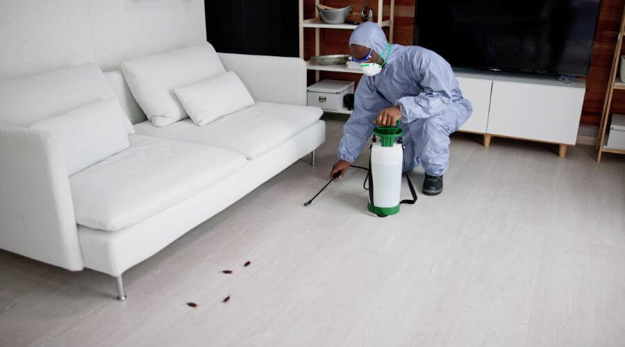 Why choose Youngstown Bed Bug Heat Pros for heat treatment for bed bugs youngstown oh in Youngstown